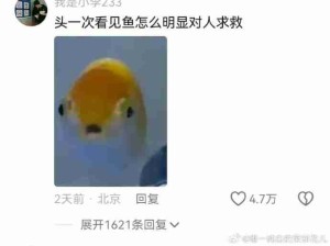 第一次从鱼的表情里看出惊恐