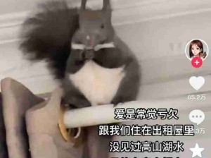 哈哈哈开个根号也丝毫没有亏欠