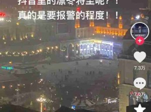 啊？难道冬天不是天天下雪吗东北?