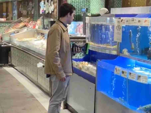 不是水族馆去不起 而是超市更具性价比
