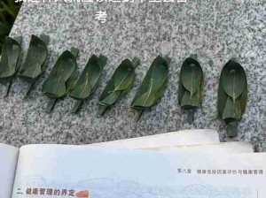 不玩手机才知道自己有这么多小众爱好