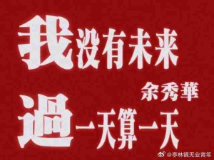又虚度了一年，明年再努力