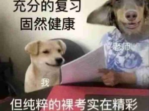 大学生有自己的精神状态