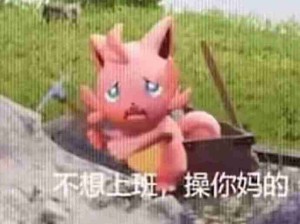 帕鲁竟是我自己