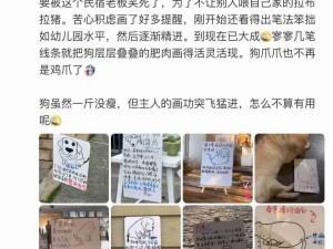 嗷！人和狗都可爱！绘画水平突飞猛进