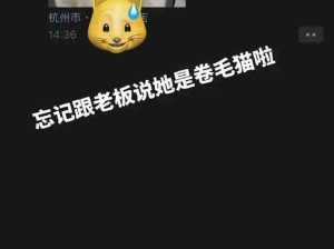 不是吹，我在洗猫方面略有心得