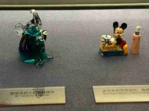 二次元去世后藏品被公之于众