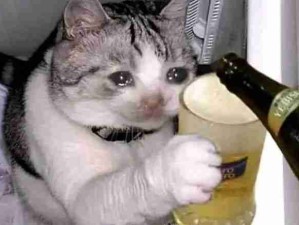 这段感情从头到尾只有我一个人在付出 ！吨吨吨