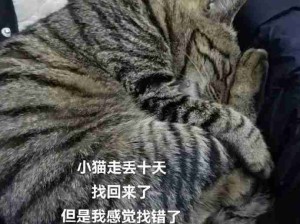 觉得不是就接着找呗