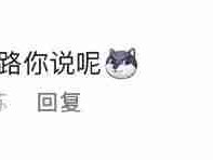 它但凡有喇叭都按了