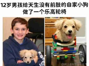 需要点小狗！狗狗好！