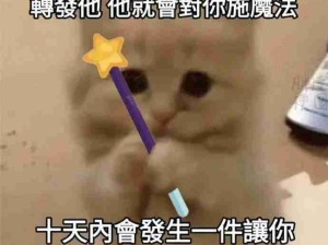 猫猫能量！谢谢魔法小猫！