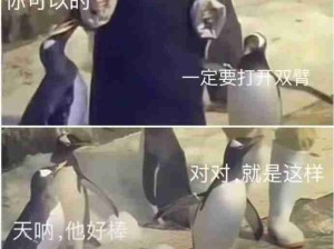 忍不住化身一只固执的企鹅