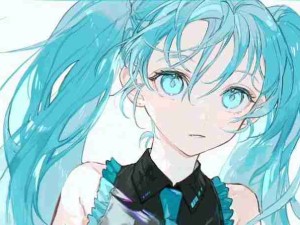 我去初音未来！Miku好可爱！