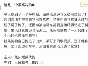 哈哈哈狗自己也去旅游了