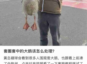 好棒啊以后鹅生幸福了！