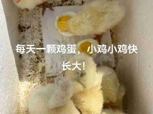 青春没有售价，表弟入口即化