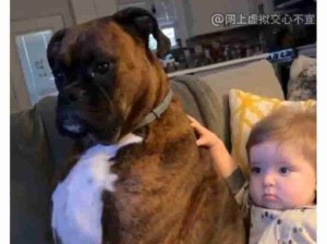 好多可爱小狗！鼻涕虫太可爱了