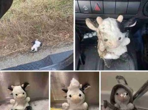 宝宝找到爱你的人了！哎呀心暖暖的！